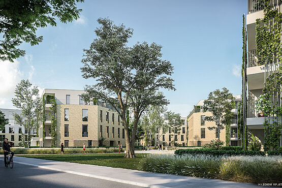  c 2020 ZOOMVP Wimmer Thierfelderstrasse Rostock UE1 c01