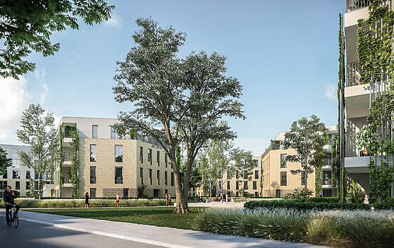  c 2020 ZOOMVP Wimmer Thierfelderstrasse Rostock UE1 c01