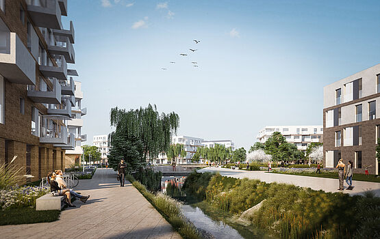 c 2015 ZOOMVP Wimmer Rostock UE1 c08